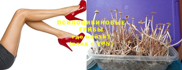 mdpv Каменка