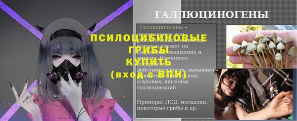 а пвп мука Абаза